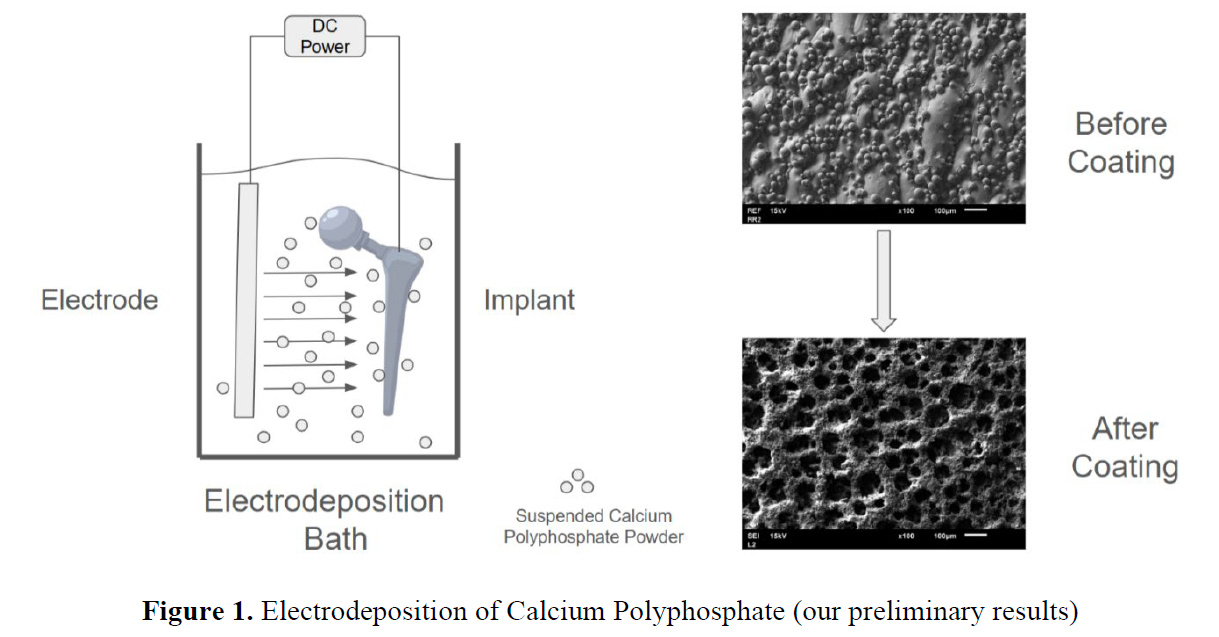 Electrodeposition of Calcium Polyphosphate (preliminary results)