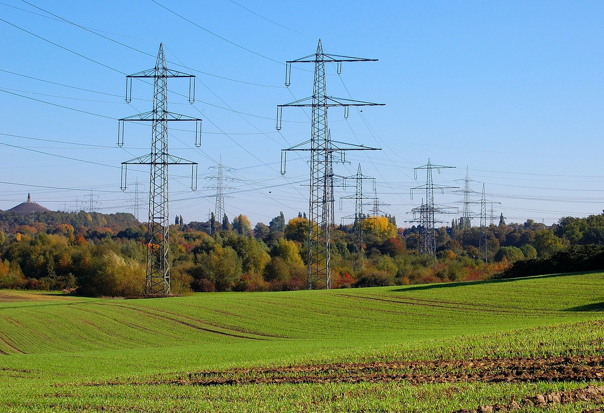 Improvement of Power Quality in Electrical Smart Grids
