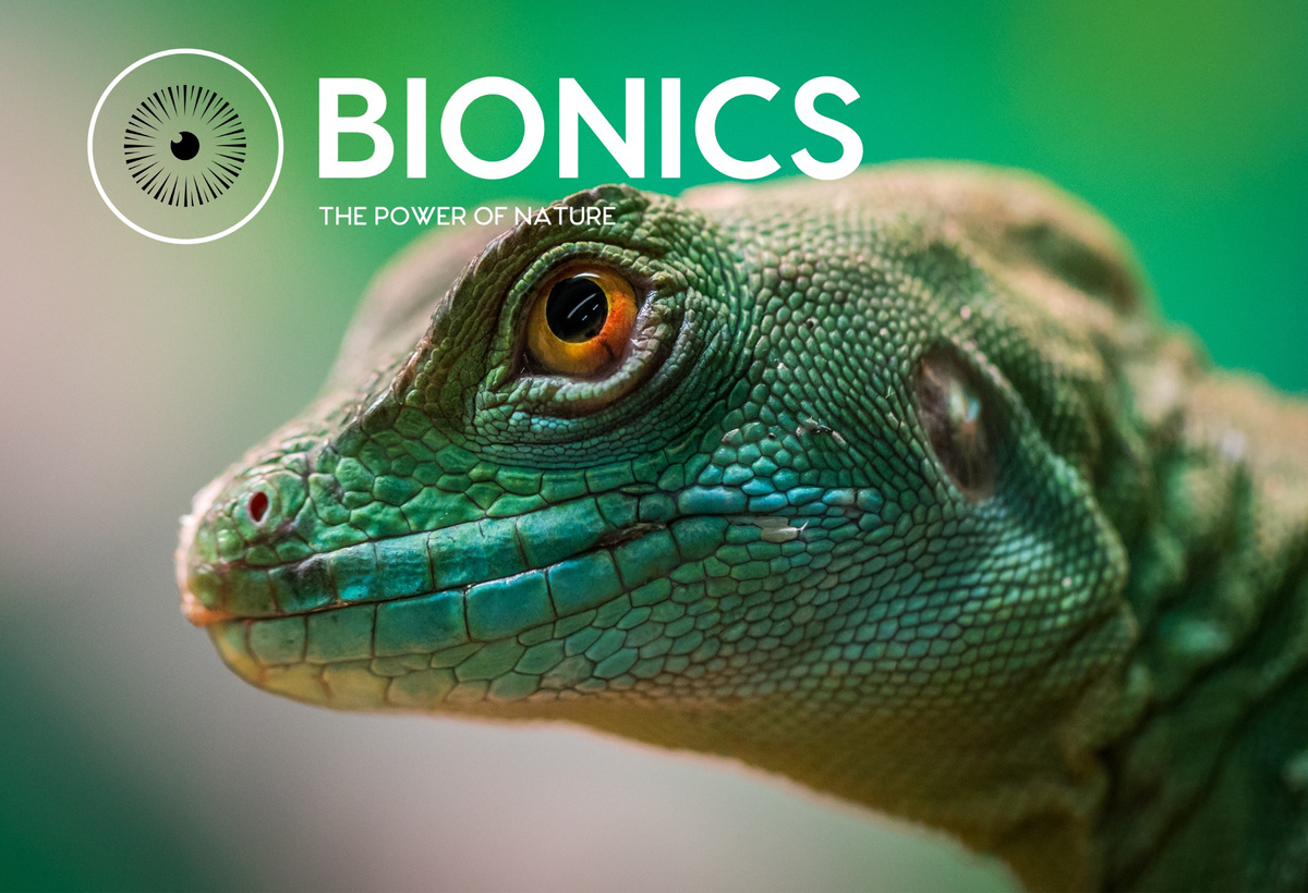 BIONICS: Pioneering Artificial Vision Technologies