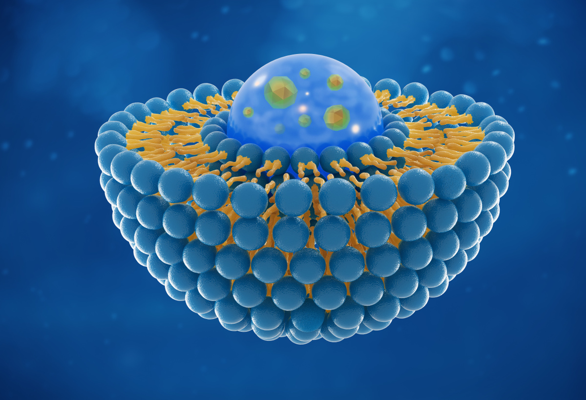 Targeted Nanosphere (TNS) Platform for Therapeutic Applications