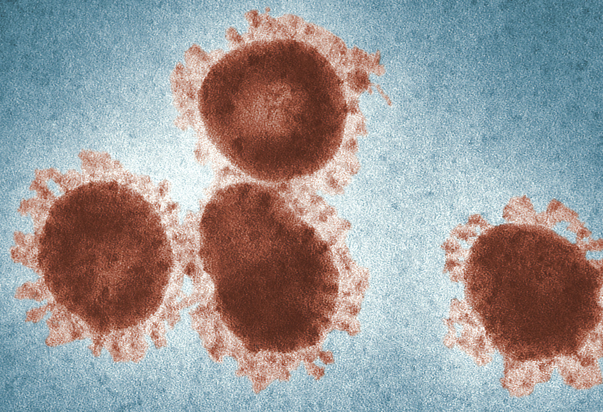 Novel Antivirals for Enveloped Viruses