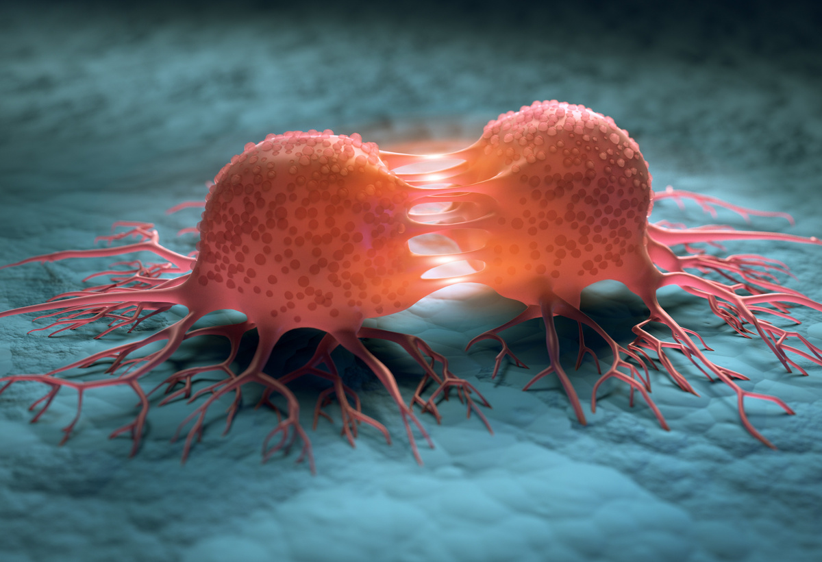 Innovative Therapy to Halt Cell Proliferation in High Mortality Cancer Tumour Cells