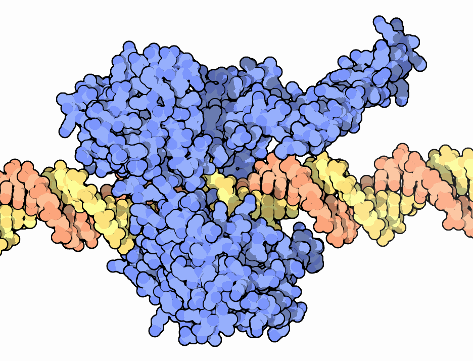 Bacterial Topoisomerase I Inhibitors with Antibacterial Activity