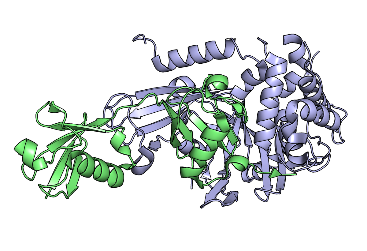 Latent Active Site Probes to Study Endogenous Enzyme Activity