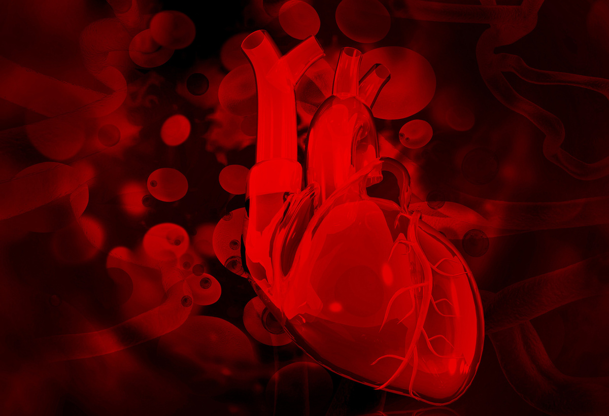 Polygenic Risk Score for Ischemic Heart Failure