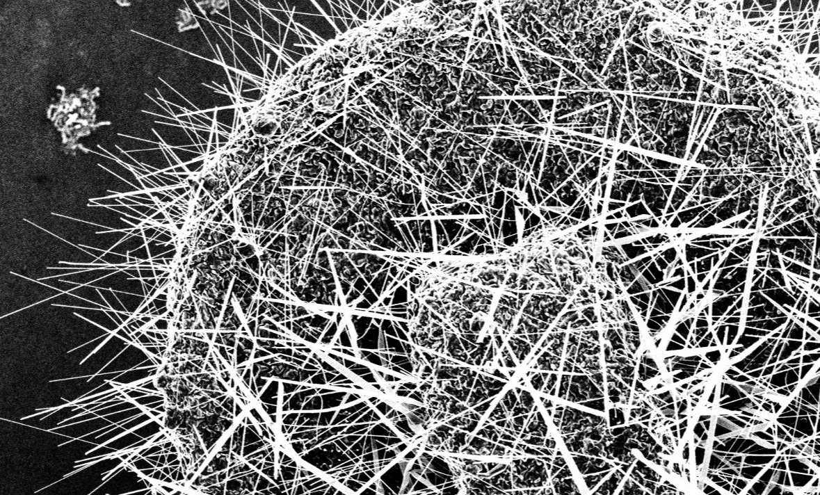 Copper Nanowires for Semiconductor Interconnects