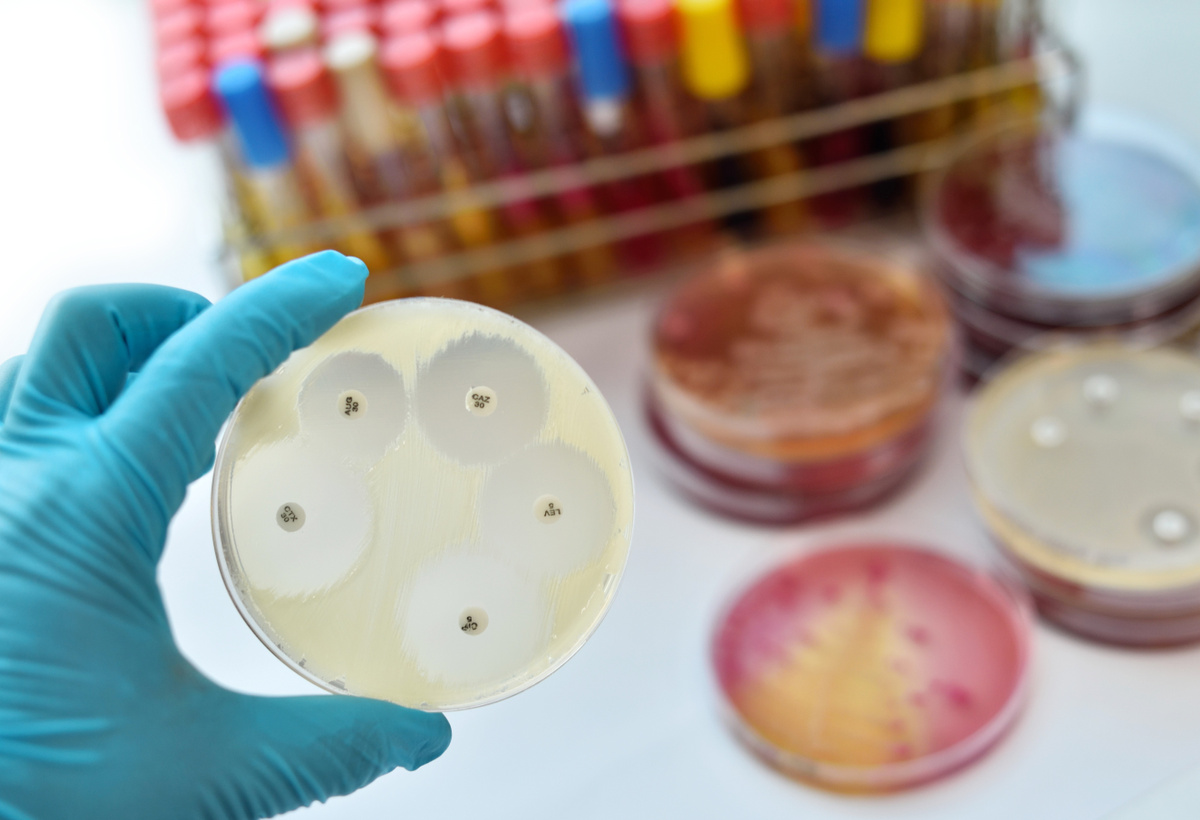 S-MGBs for Antibacterials
