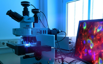 Stimulated Emission Depletion (STED) Microscopy with Polarization-Maintaining Fiber