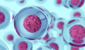 Novel Glycosylated Anti-Tumor Ether Lipid Compounds Target Drug-resistant, Recurrent Ovarian Cancer Cells