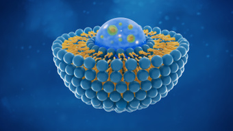 Targeted Nanosphere (TNS) Platform for Therapeutic Applications